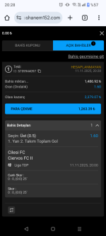 Screenshot_20251111-202838.png