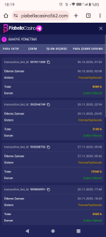 Screenshot_20251206-181916.png